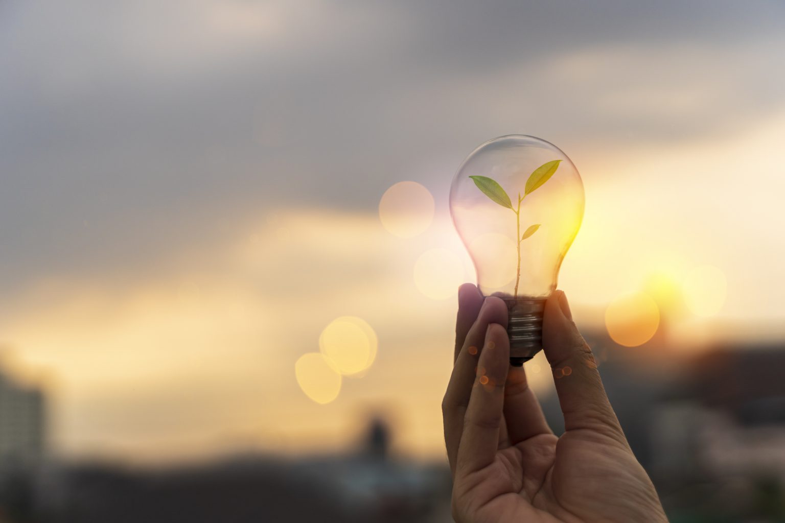 Audit énergétique obligatoire