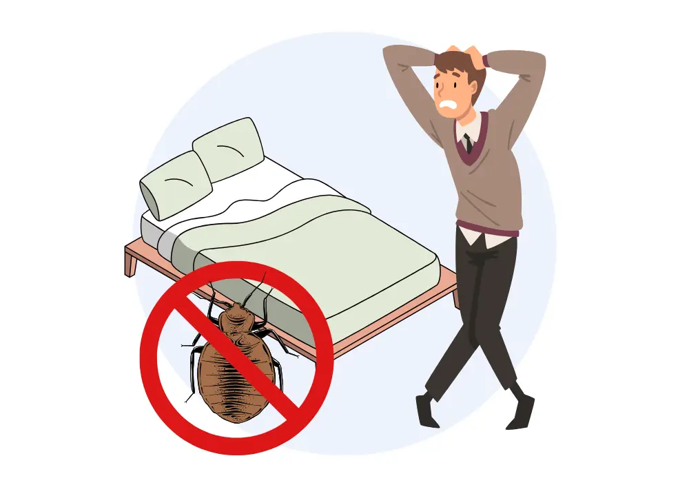 Punaise de lit qui doit payer ? Locataire ou propriétaire ?